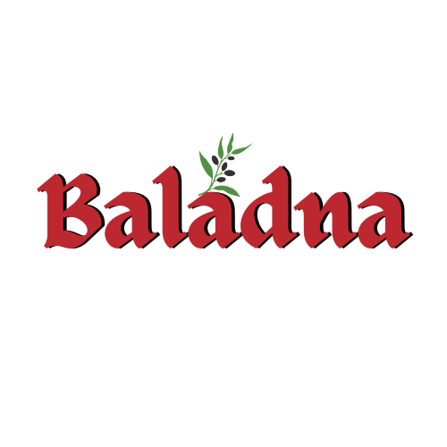 Palestine Imports logo
