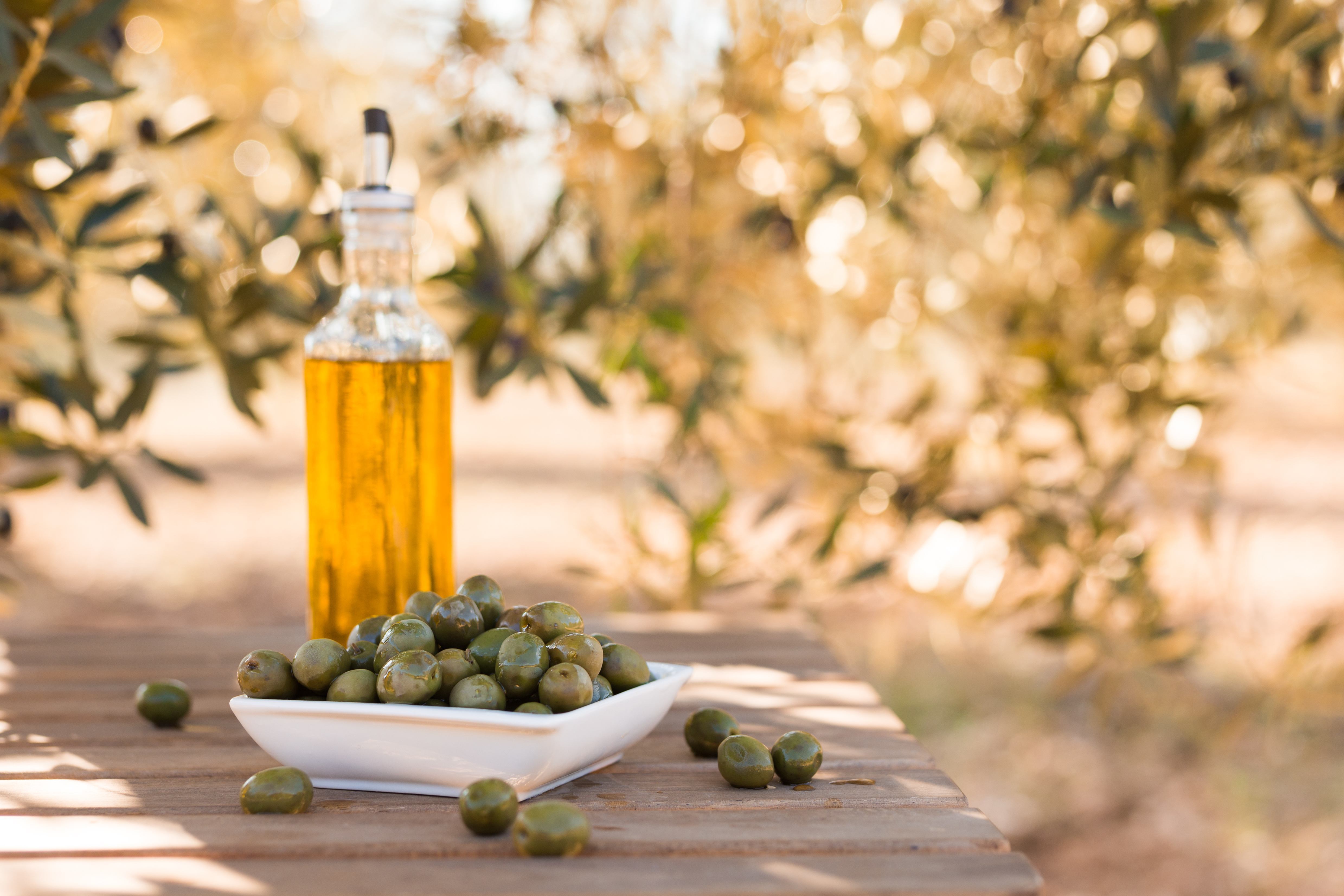 Palestinian extra virgin olive oil with fresh olives